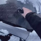 FrostBuster™ Pro - Your Ultimate Tool for Snow and Ice Control!